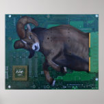 Ram Posters