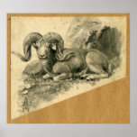 Ram Print