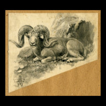 Ram posters