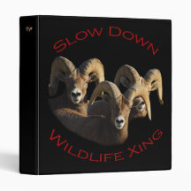 rams binders