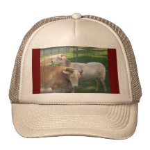 Rams Trucker Hats