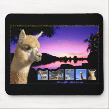 ranch 3W Tapis De Souris