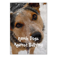 Ranch Dogs Against Bullying - Cowboy Parenting Greeting Cards