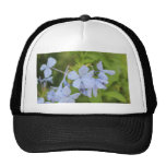 Random Garden Flowers #2 Hat