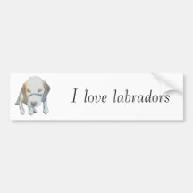 Random Labrador Dog copy, I love labradors Bumper Sticker