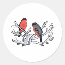 Randy et Randi Robin Autocollants