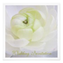 Ranunculus Wedding Invitation