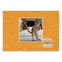 Raptor Kitten Greeting Cards