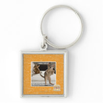 Raptor Kitten Key Chains