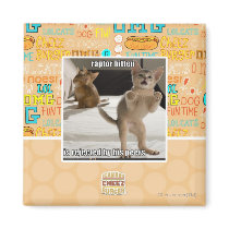 Raptor Kitten Refrigerator Magnets