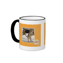 Raptor Kitten Coffee Mugs