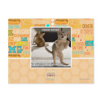 Raptor Kitten Postcard