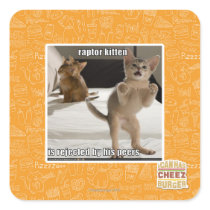 Raptor Kitten Square Sticker