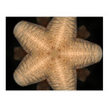 Rare Cave Star Postcard