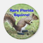Rare Florida Squirrel Fridge Magnet