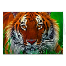 Rare Sumatran Tiger from Indonesia Greeting Card
