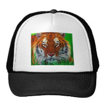 Rare Sumatran Tiger from Indonesia Hat