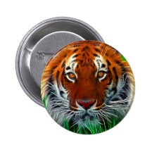 Rare Sumatran Tiger from Indonesia Pinback Button