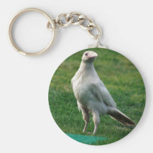 Rare White Raven Gifts Key Chains