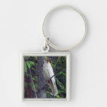 Rare White Raven Keychains