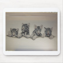 Rare White Tiger Cubs Mousepads