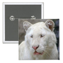 Rare White Tiger Square Pin