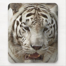 Rare White Tiger Wild Animal Big Cat Mousepad