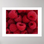Raspberries Print