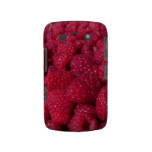 Raspberry Blackberry Bold Case