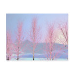 Raspberry Creme Post Cards