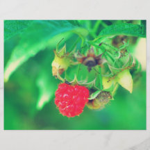 Raspberry Personalized Flyer