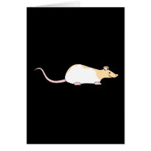 Rat d'animal familier. Faon et varié à capuchon bl Carte