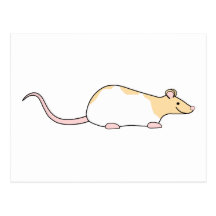 Rat d'animal familier. Faon et varié à capuchon bl Carte Postale