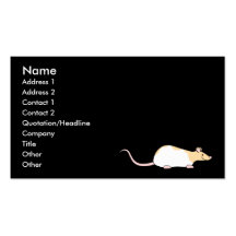 Rat d'animal familier. Faon et varié à capuchon bl Cartes De Visite Personnelles