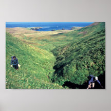 Rat Island, USbiologist Jeff Williams and Island C Print