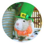 Rat St. Paddy's Day Sticker