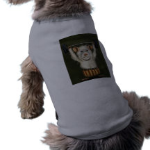 Rat superbe t-shirts pour animaux domestiques