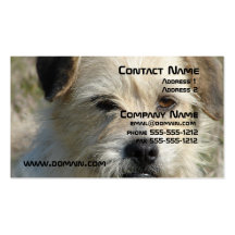 Rat Terrier Dog Business Card