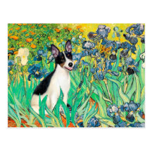 Rat Terrier - Irises Post Card