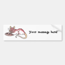 Rat with a Cookie Bumper Sticker
