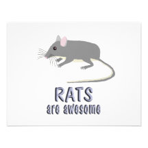 Rats are Awesome Personalized Invite