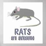 Rats are Awesome Print