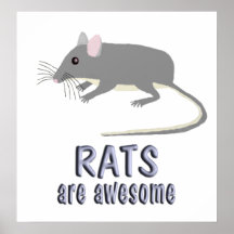 Rats are Awesome Print