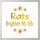 Rats Brighten My Life Poster