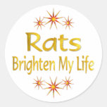 Rats Brighten My Life Sticker