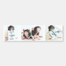 Rats R Friends Not Food 2 Bumper Stickers