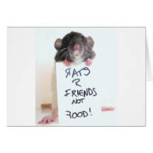 Rats R Friends Not Food 2 Cards
