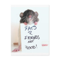 Rats R Friends Not Food 2