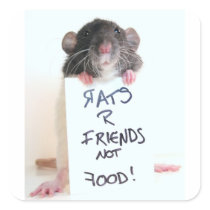 Rats R Friends Not Food 2