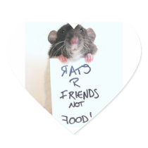 Rats R Friends Not Food 2